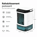 Ventilateur brumisateur portable - réservoir 900 mL et brume fine