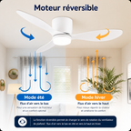 Ventilateur de plafond avec lumière, moteur DC silencieux et économe en énergie, 3 couleurs modifiables, 6 vitesses réglables, pour chambre et salon